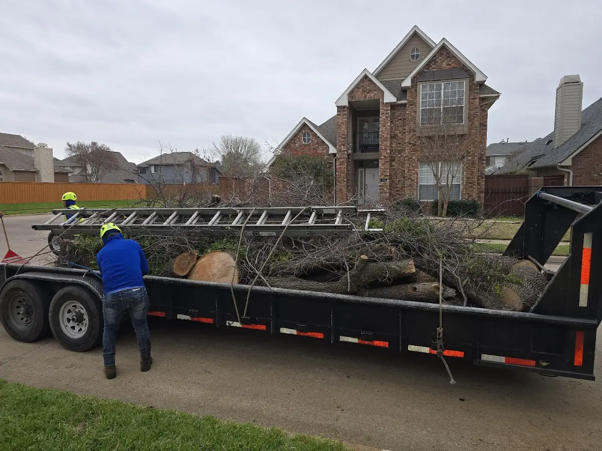 Expert Tree Fertilization with proper safety equipment in Rhome